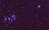La cometa ha superato le Pleiadi. Foto scattata da Bruno Pulcinelli alle 21.00 del 08/01/05 da Frasso Sabino con una webcam Philips TOUCAM PRO modificata montata su testa Vixen Super Polaris. Obiettivo 35 mm f/2.8. Somma di 15 immagini di 40 sec. ciascuna