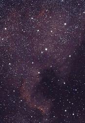 Nebulosa Nord America nel Cigno